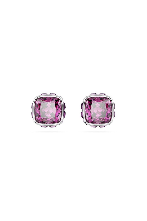 Swr 5660797 Women Earrings
