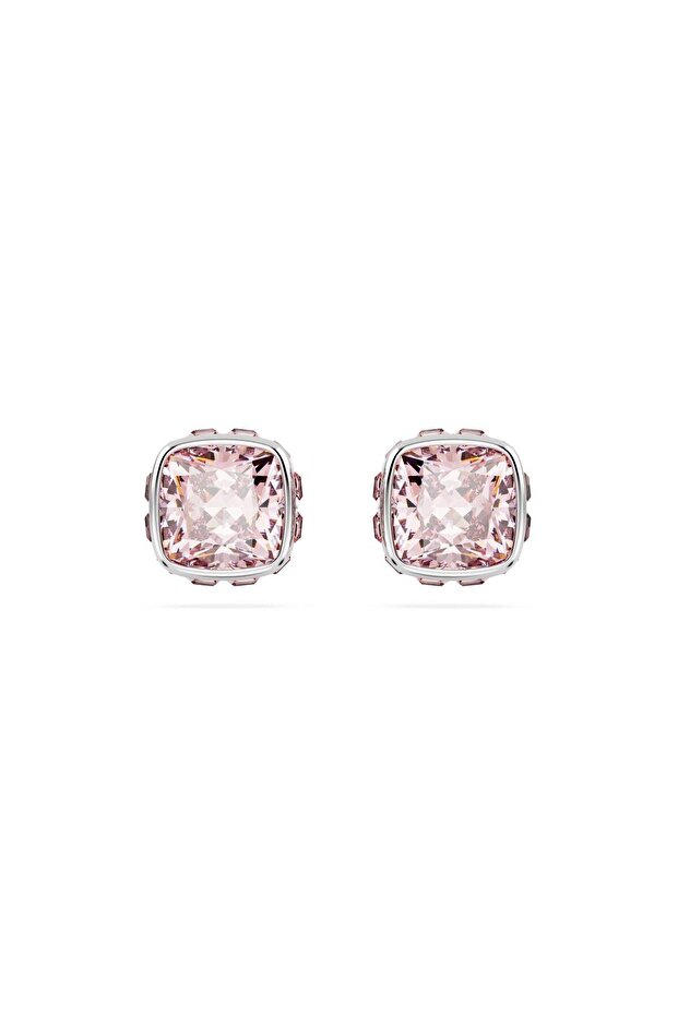 Swr 5660799 Women Earrings