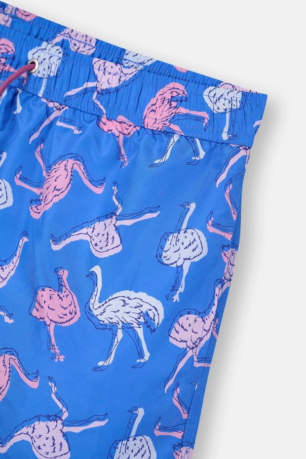 Multicolor Normal Bel Kısa Şort - 3