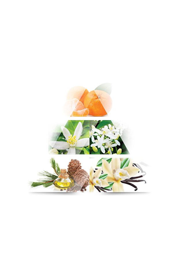 Destinée EDP 90ml - 2