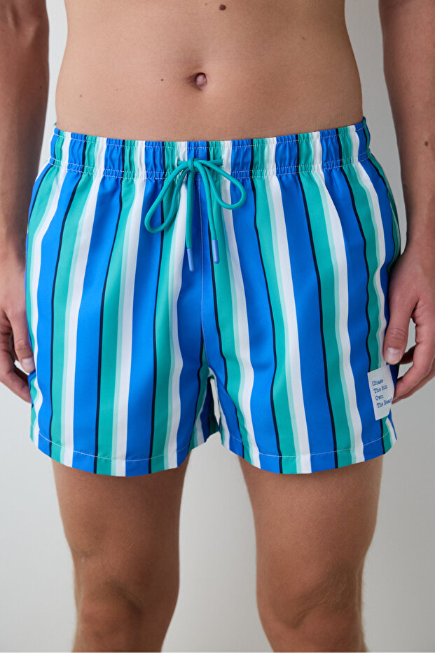 Çizgili Erkek Şort Mayo - 2
