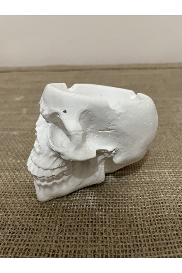 Kafatası küllük - 2