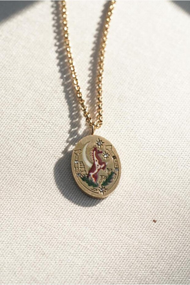 Stainless Steel Luck Medallion Necklace
