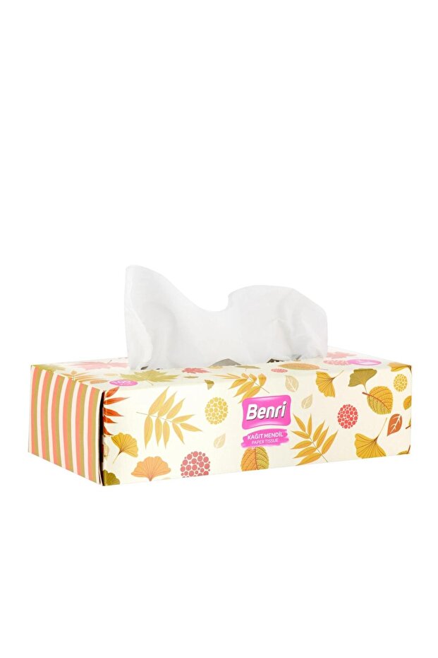 Box of Tissues 100 Pieces (Assorted)