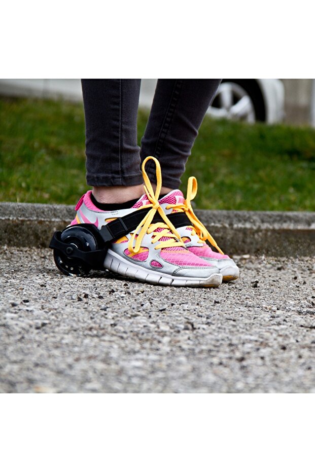 Role SCHILDKROT Flashy - 2