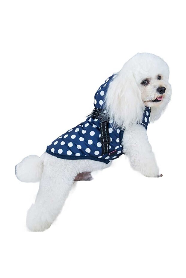 Polka dot puppy jacket - 2