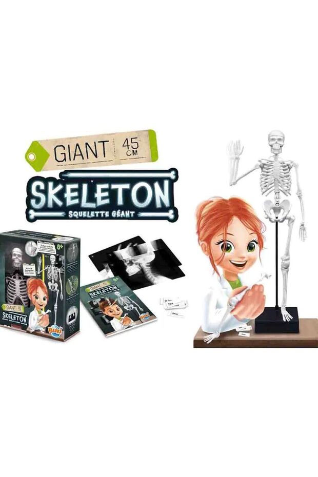 هيكل عظمي 45 سم - 3