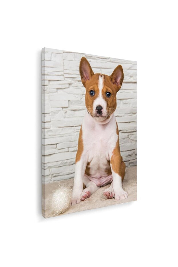 Basenji dog painting, code 4159 - 1