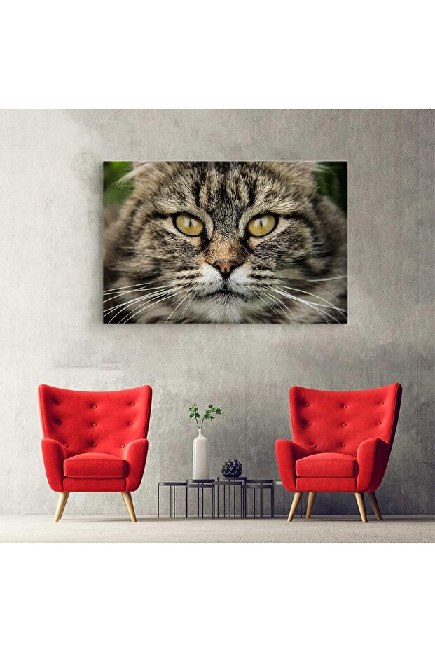Cat portrait painting, code 4209 - 4