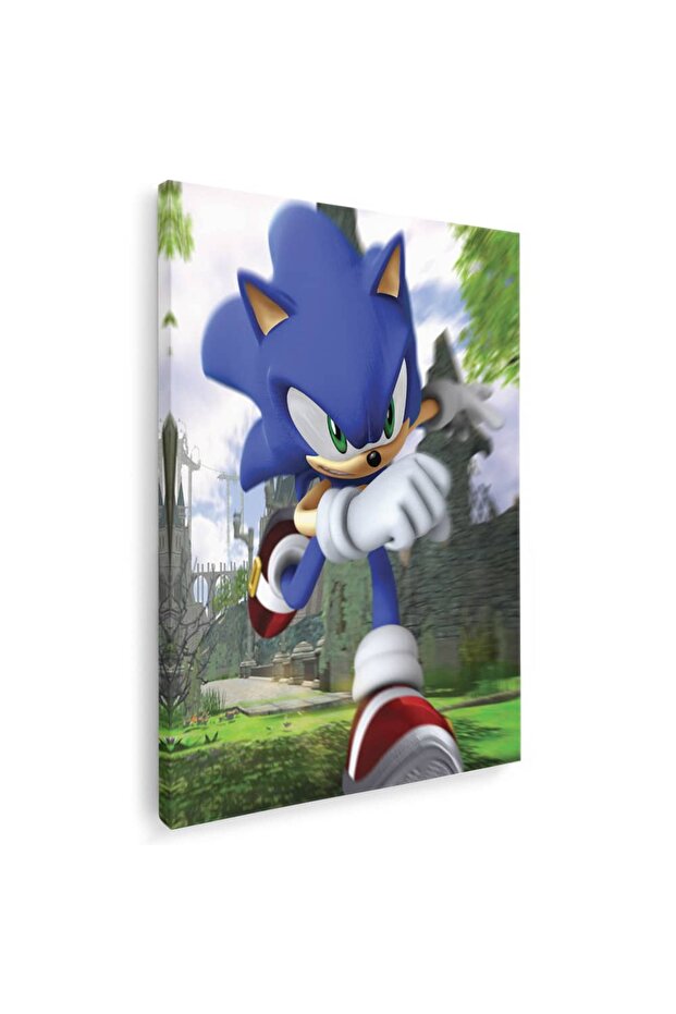 Sonic the Hedgehog, code 3660 - 1