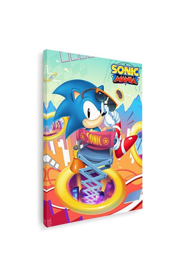 Sonic Ariciul, cod 3658 - 1