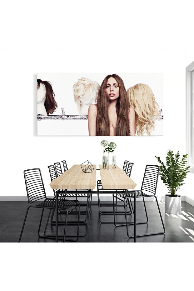 Lady Gaga singer, code 2347 - 5