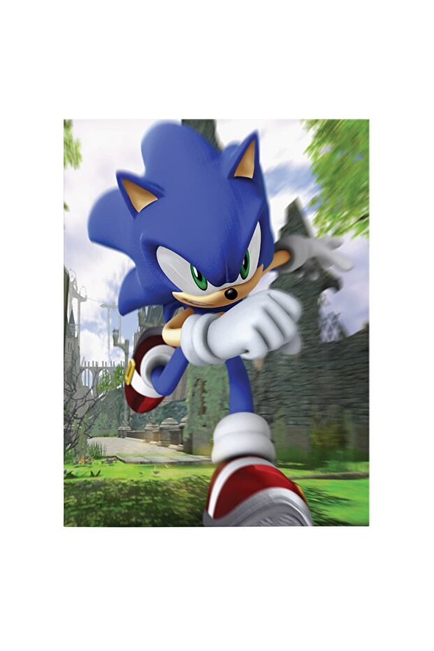 Sonic the Hedgehog, code 3660 - 2