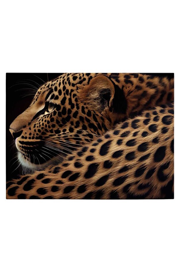 Resting leopard painting, code 3251 - 1