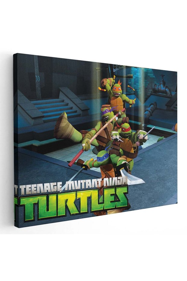Testoasele Ninja desene animate, cod 2205