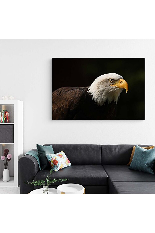 White-headed eagle painting, eagles, code 3099 - 5