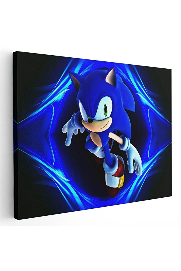 Tablou Sonic Ariciul, cod 3518 - 1