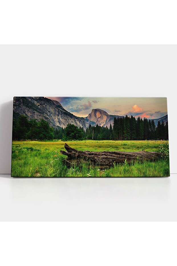 Tablou peisaj munte, cod 4503 - 2