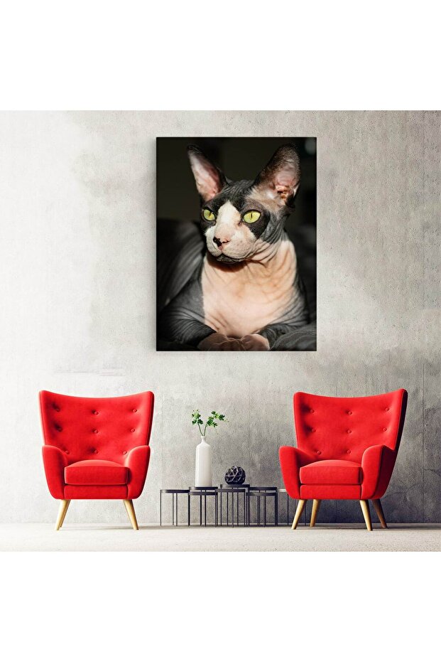 Sphynx cat painting, code 4246 - 4