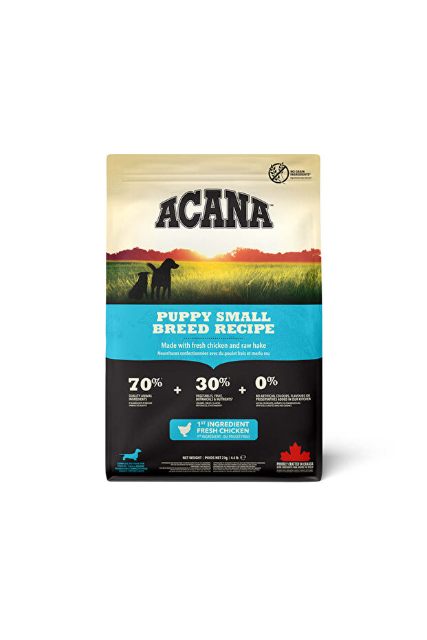Small Breed Recipe Puppy Dry Food 2KG