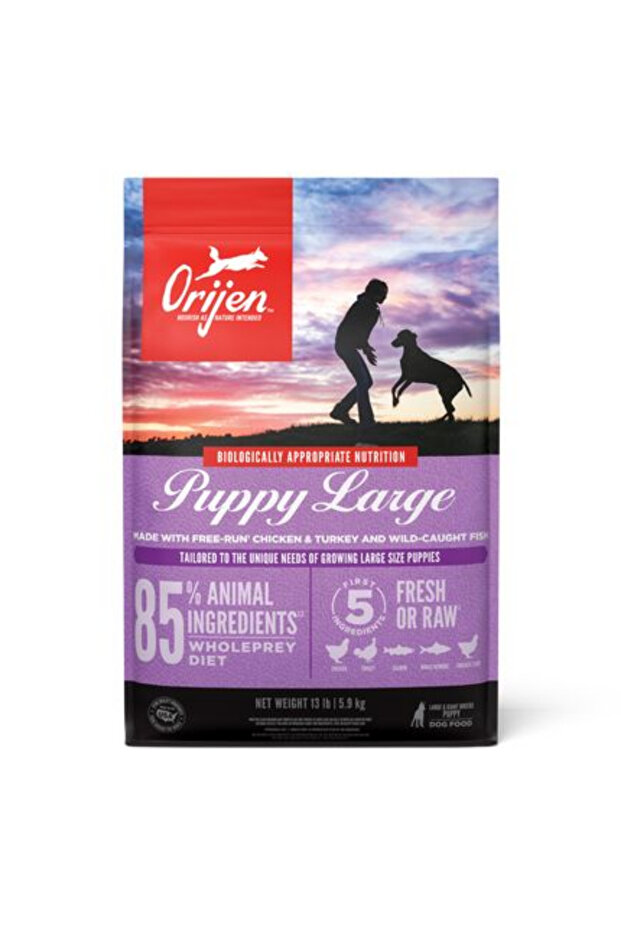 Large Breed Puppy Protein-Rich Dog Dry Food