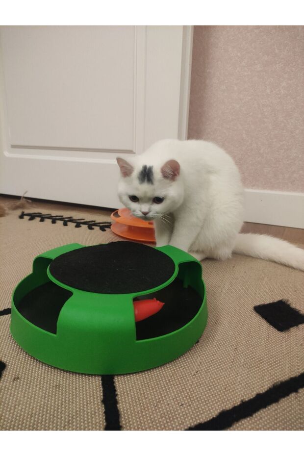 Catch the Mouse Cat Toy – Rotating Mechanism and Scratching Pad - 8
