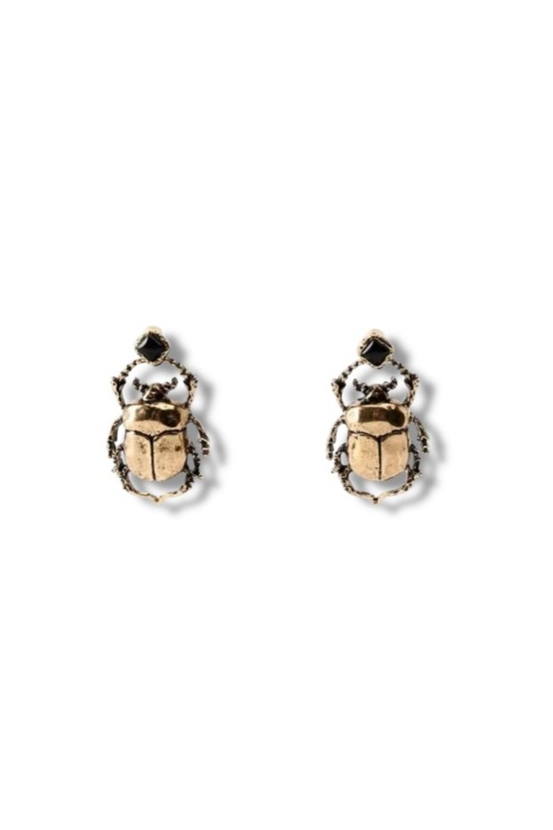Brand Model Ladybug Earrings