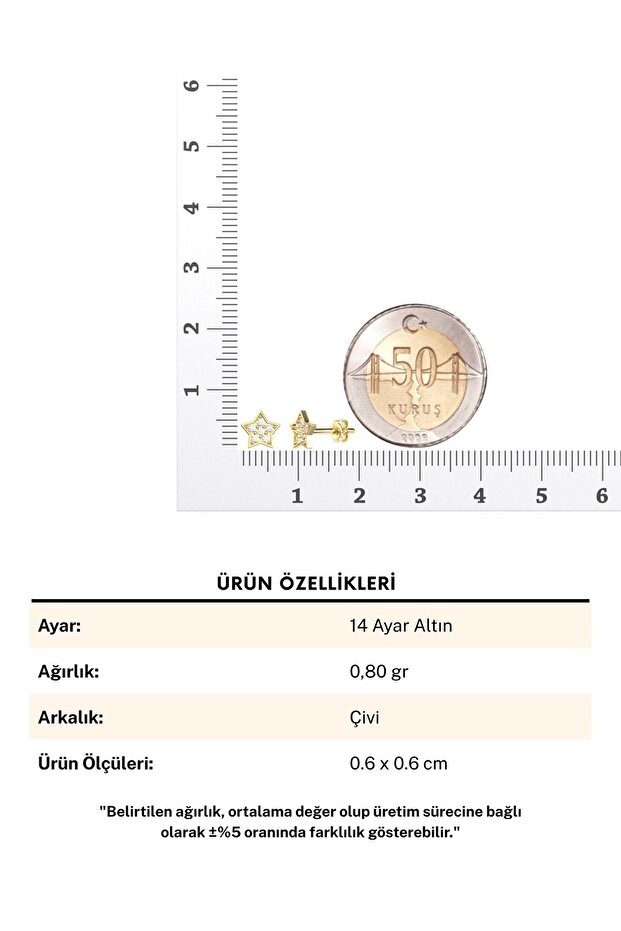 Minik Yıldız 14 Ayar Altın Küpe - 6
