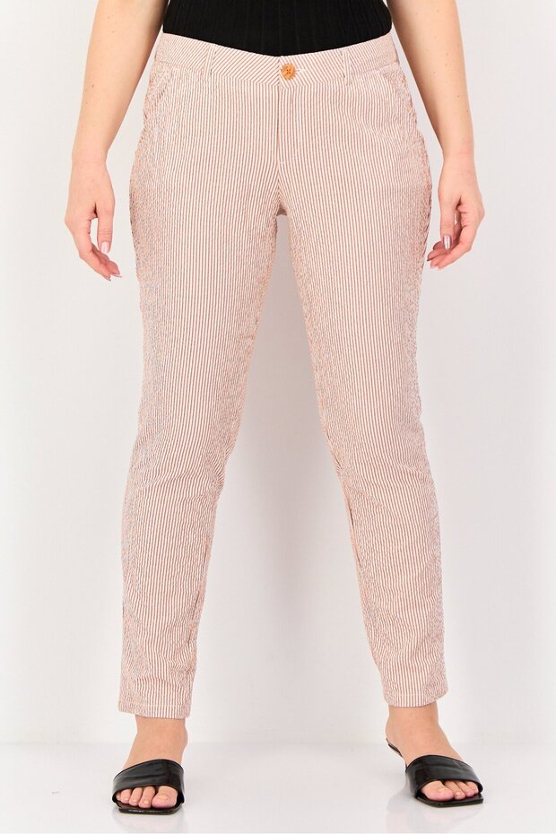Women Regular Fit Stripes Straight Pants, Multicolor