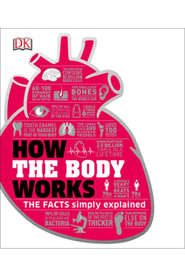 How the Body Works - 1