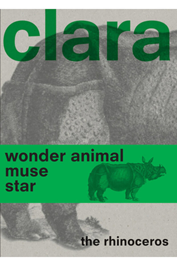 Clara Rinocerul - 1