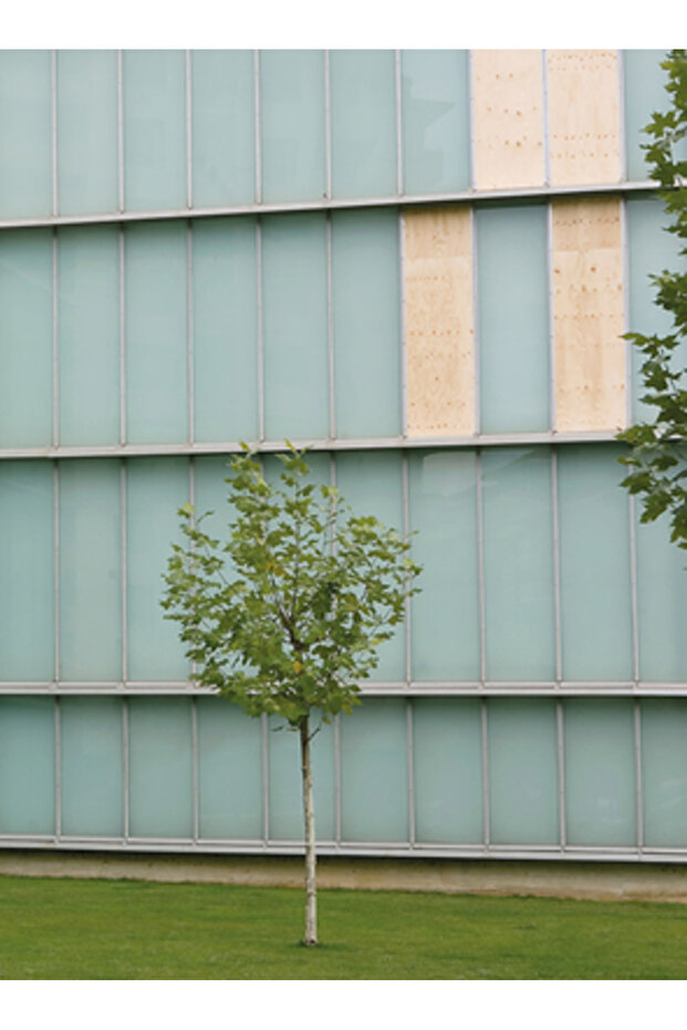 A Kassen: Dimensions Variable - 1