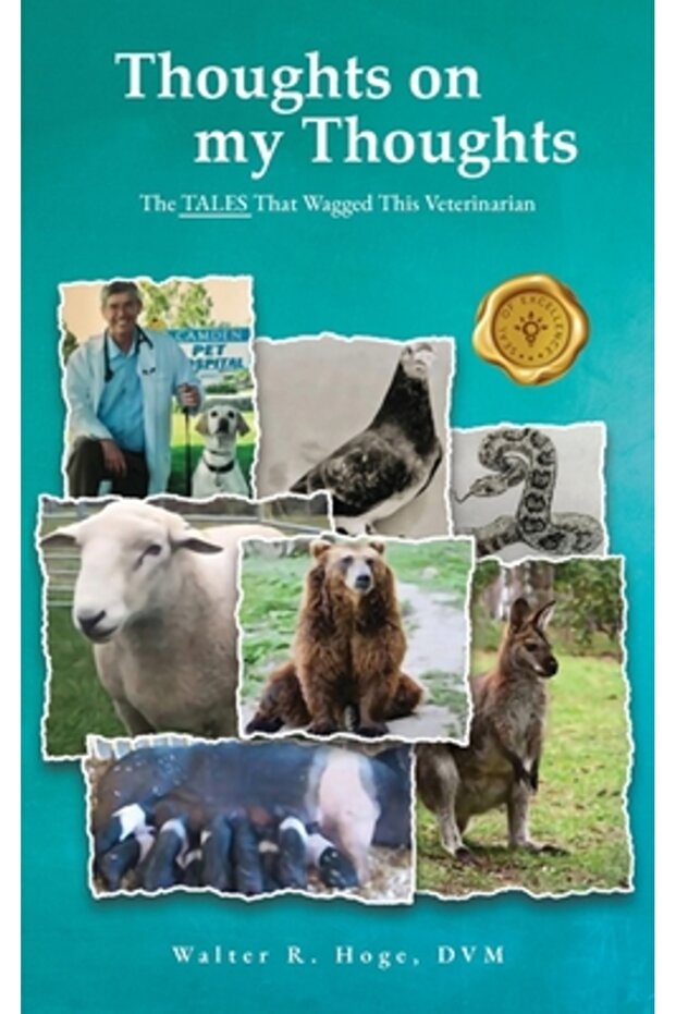 Thoughts on my Thoughts - 1