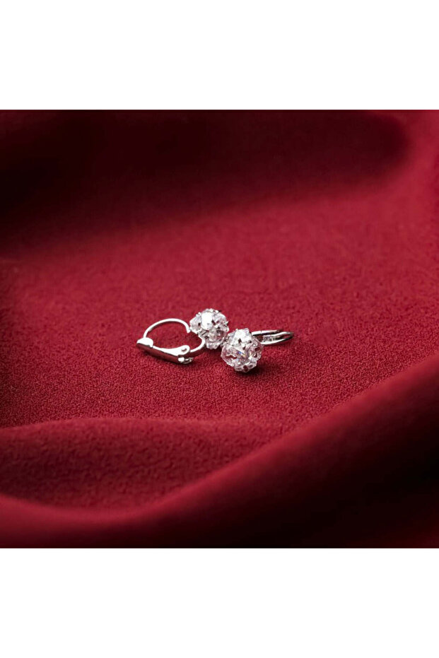 Dazzling Delight - 2