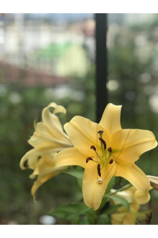 Kadın İnci Kolye - 2