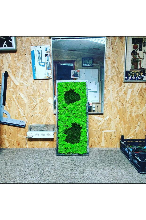 Tableau with Stabilized Lichen 70x30 cm - 2