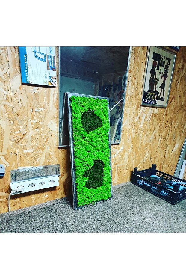 Tableau with Stabilized Lichen 70x30 cm - 1