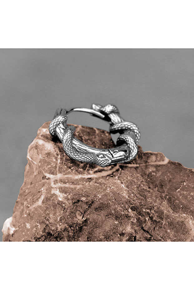 Snake Design Hoop Earrings 316L Stainless&Non-Tarnish Steel Earrings