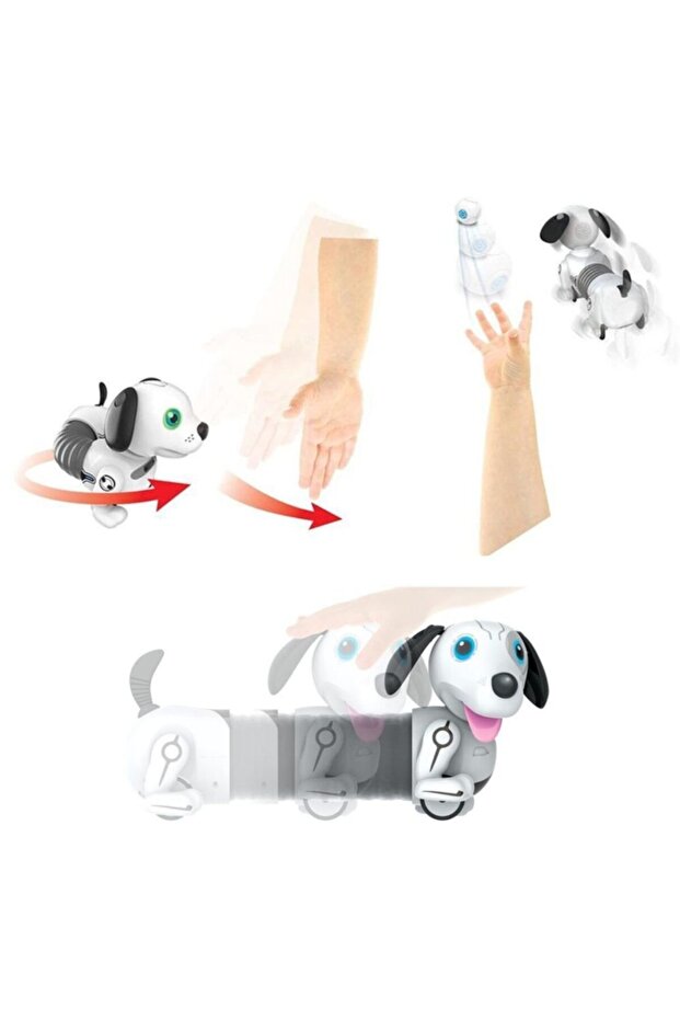 Robo Dackel Junior - 2