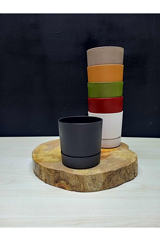 Begonya 9 Saksı - 1