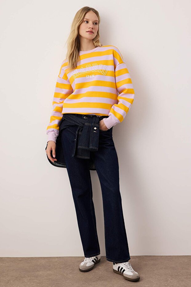 Çok Renkli Regular/Normal Kalıp Örme Sweatshirt TWOAW26SW00212 - 2