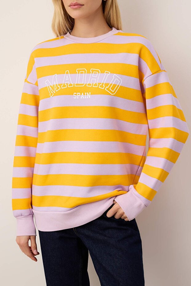 Çok Renkli Regular/Normal Kalıp Örme Sweatshirt TWOAW26SW00212 - 3