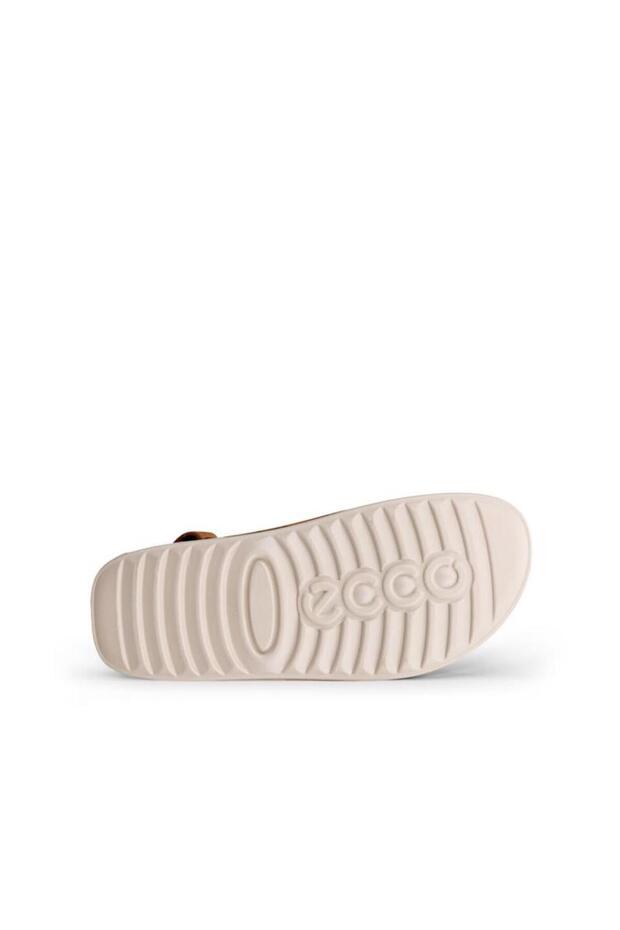 Aslan'daki Cozmo - 5