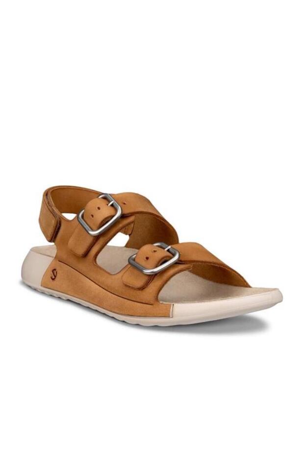 Aslan'daki Cozmo - 1