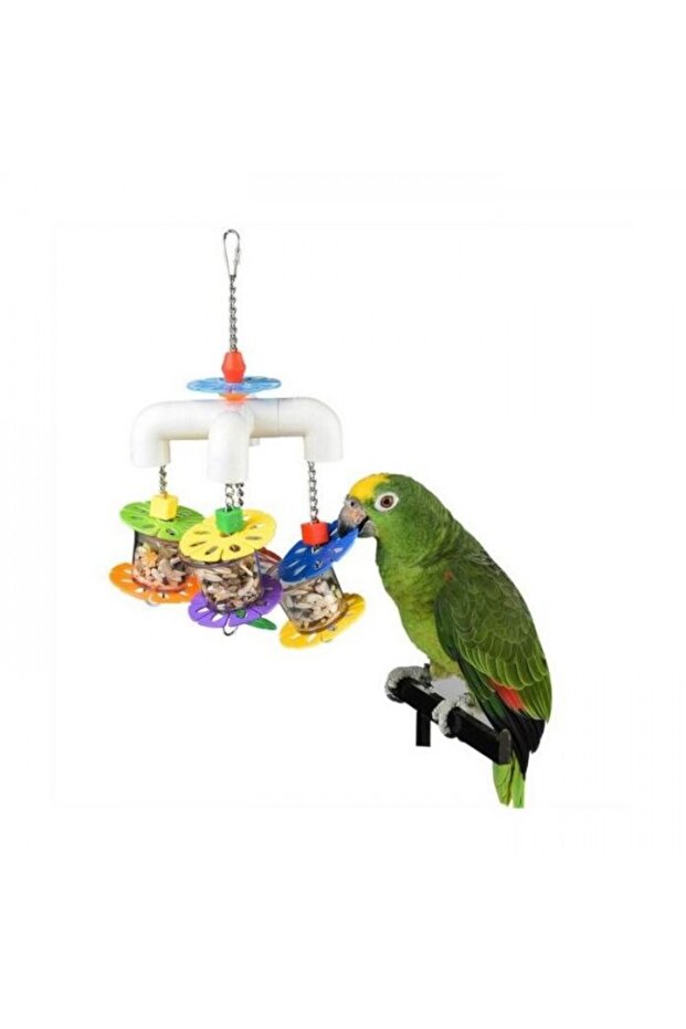 Foraging Party Parrot Toy