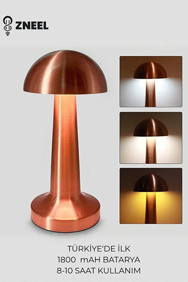 knoffer will dich nur... Bronz Dokunmatik Şarjlı Masa Lambası-3 Işık Renkli, Dimlenebilir, Type-C Giriş, 1800 mAh Batarya