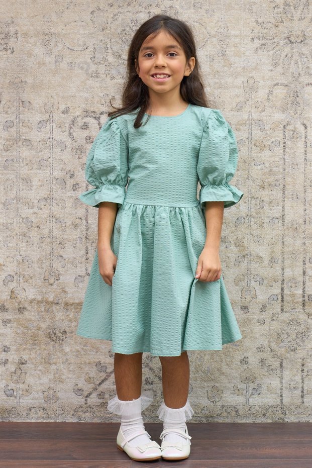 Girl's Green Seersucker Watermelon Sleeve Flared Dress