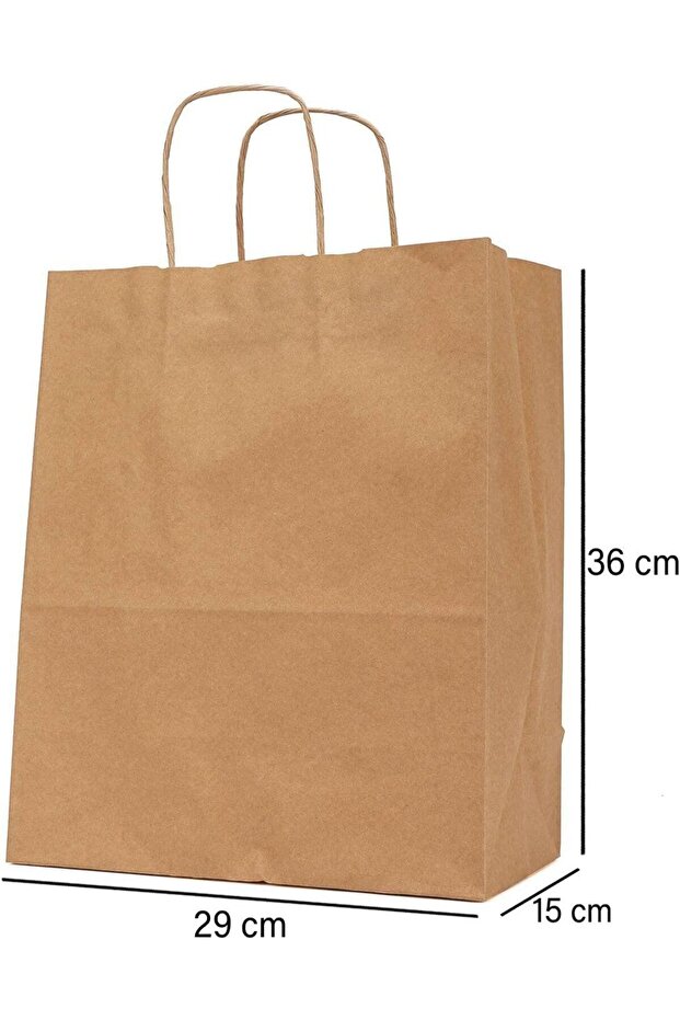 Brown Paper Bags with String Handle, 5 Pieces