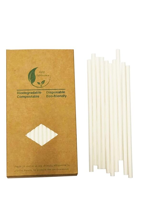 Solid Plain White Drinking Paper Straws, 100 Count in Recyclable Kraft Paper Box for Household