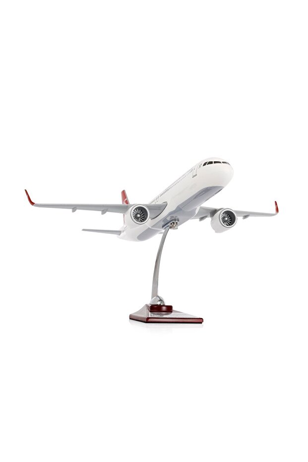 A 321 -1/100 LALE Model Uçak - 3